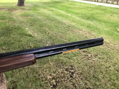 Gun Image 1