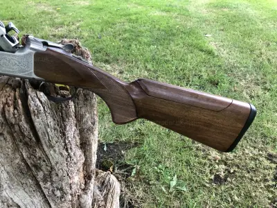 Gun Image 9
