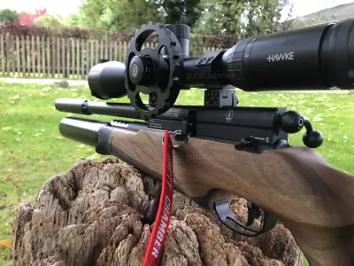 Gun Image 3