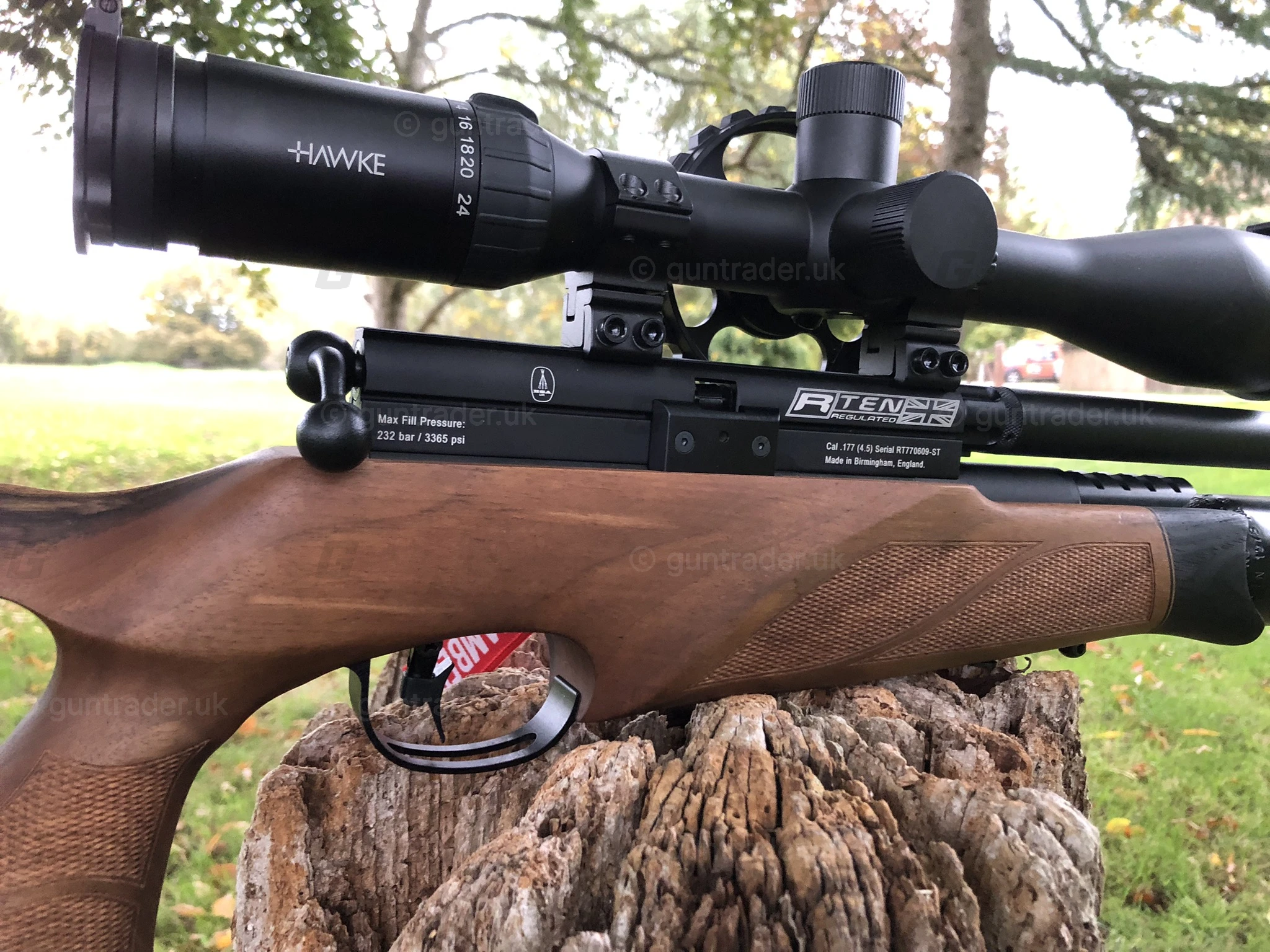 Photo of this gun