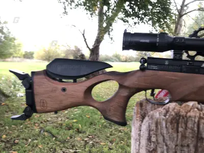 Gun Image 1