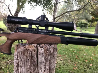 Gun Image 4