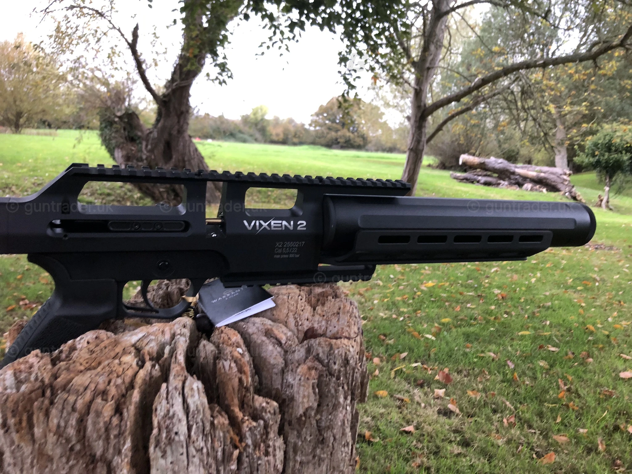 Photo of this gun