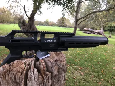 Gun Image 1