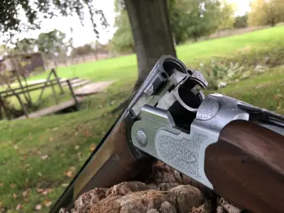 Gun Image 2