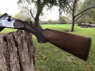 Gun Image 1