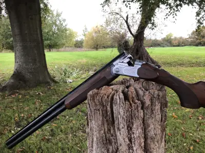 Gun Image 4