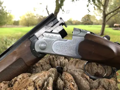 Gun Image 3