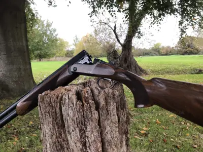 Gun Image 1