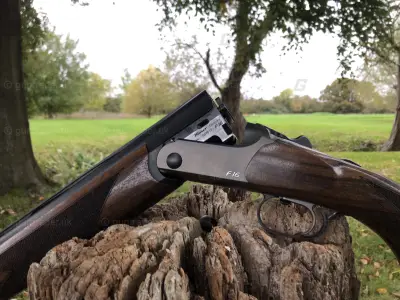 Gun Image 2