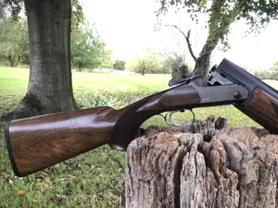 Gun Image 3