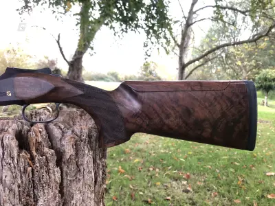 Gun Image 3