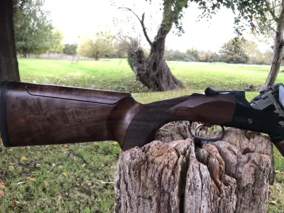 Gun Image 1