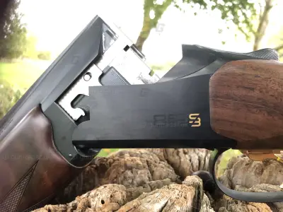 Gun Image 2