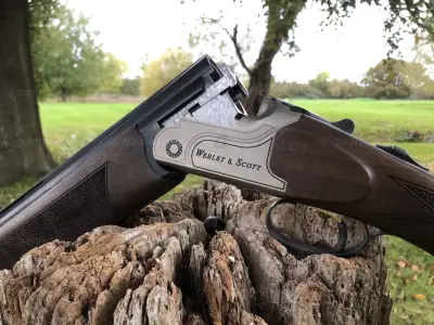 Gun Image 2