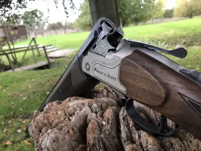 Gun Image 1