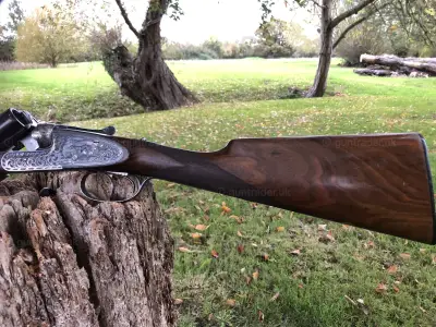 Gun Image 2