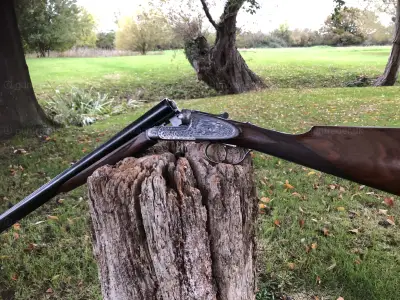 Gun Image 1