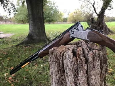 Gun Image 3