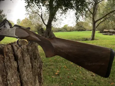 Gun Image 4