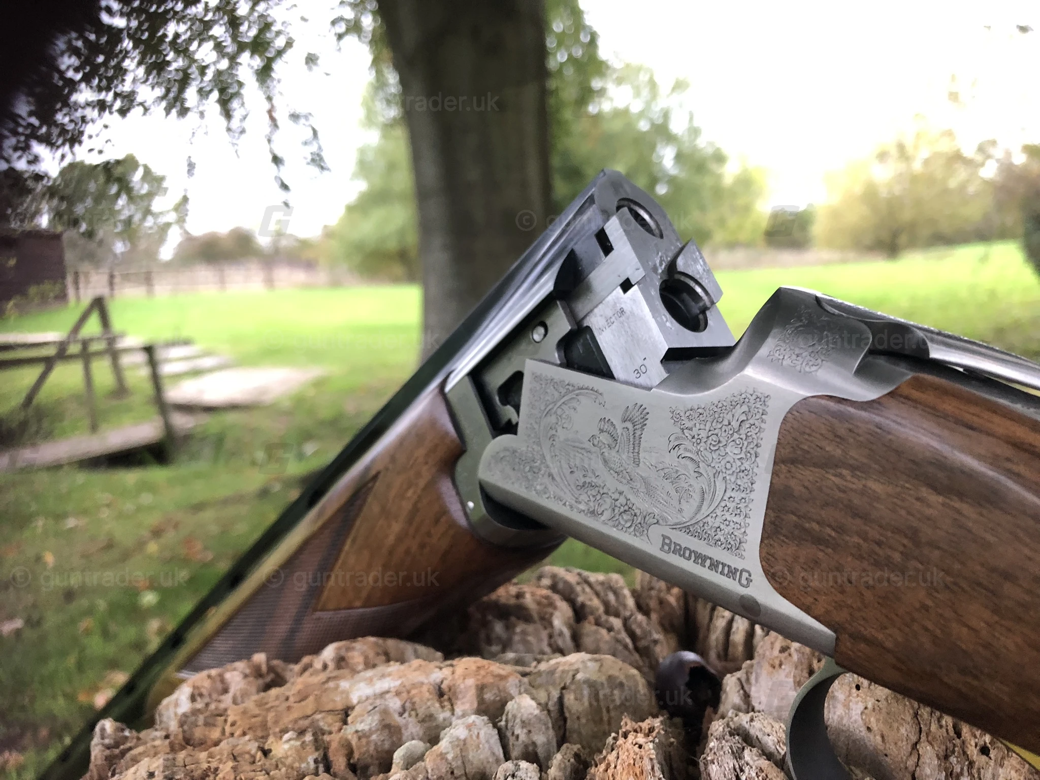 Photo of this gun