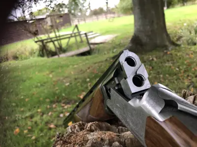 Gun Image 2