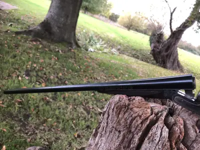 Gun Image 5