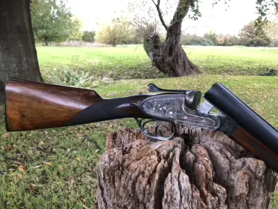 Gun Image 2