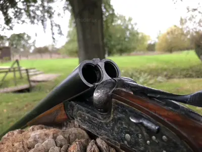 Gun Image 1