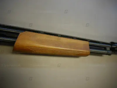 Mossberg 410 gauge 500 ( Field)