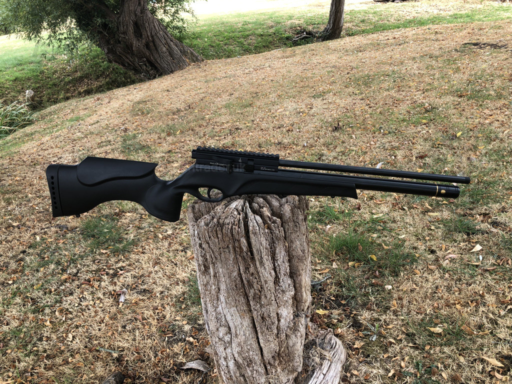 Photo of this gun