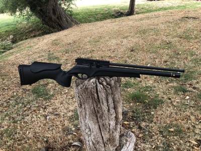 Gun Image 3
