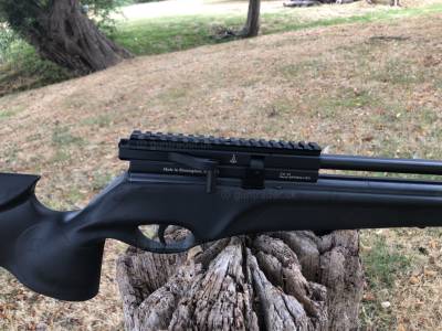 Gun Image 2