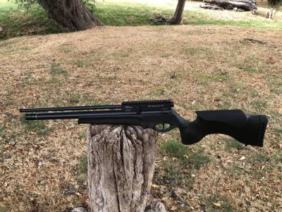 Gun Image 4