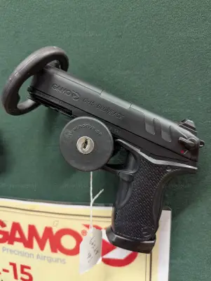 Gun Image 1