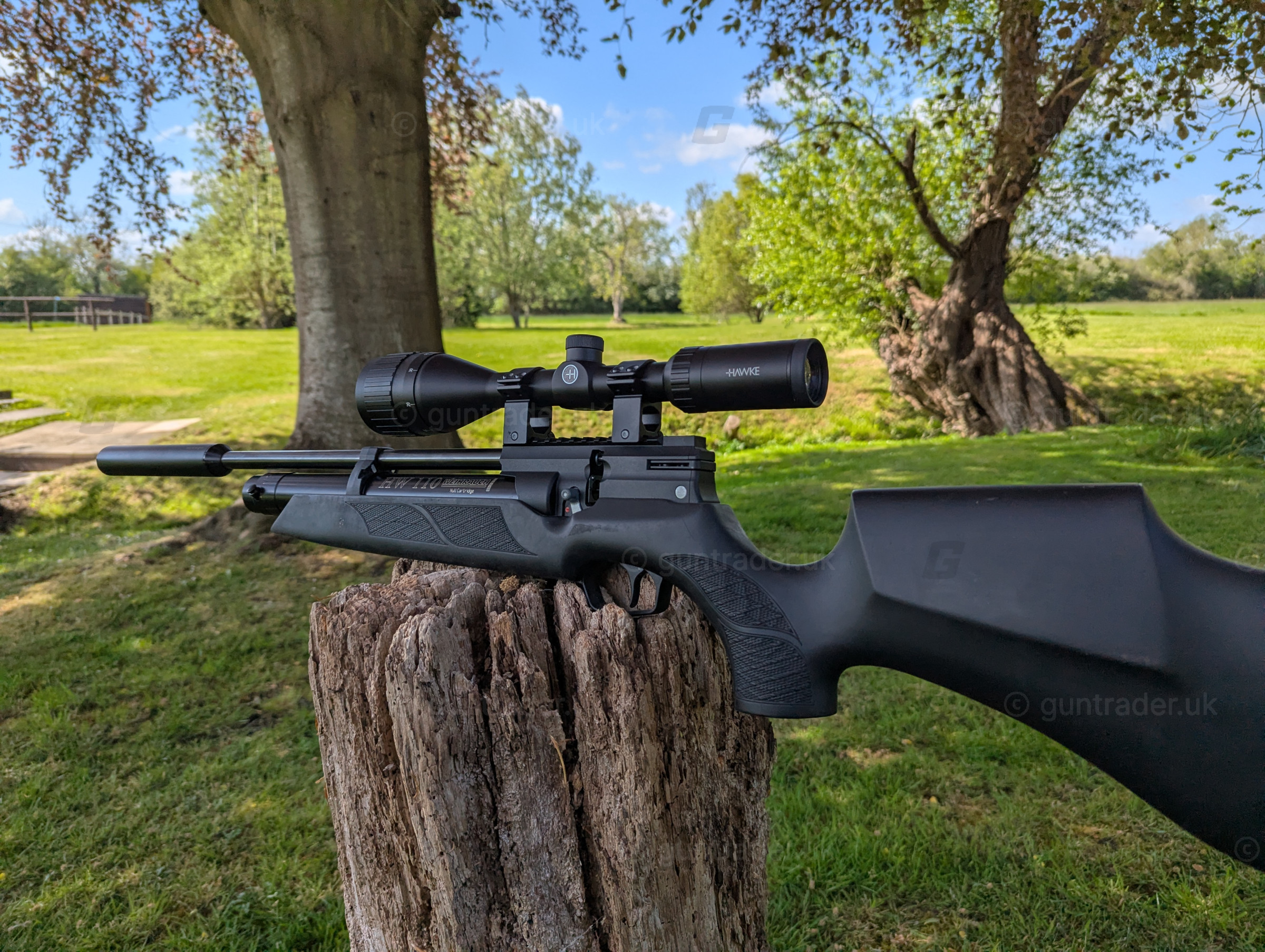 Photo of this gun