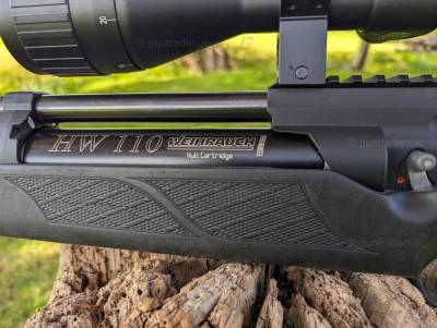 Gun Image 1
