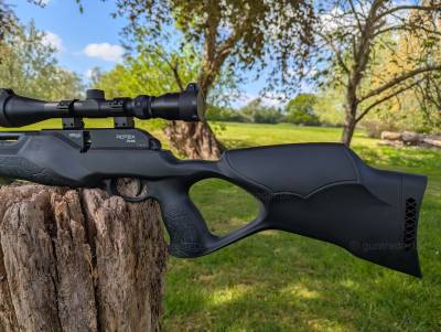 Gun Image 2