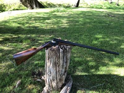 Gun Image 4
