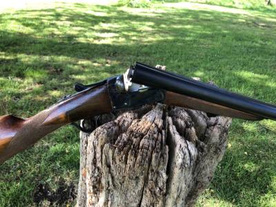 Gun Image 2