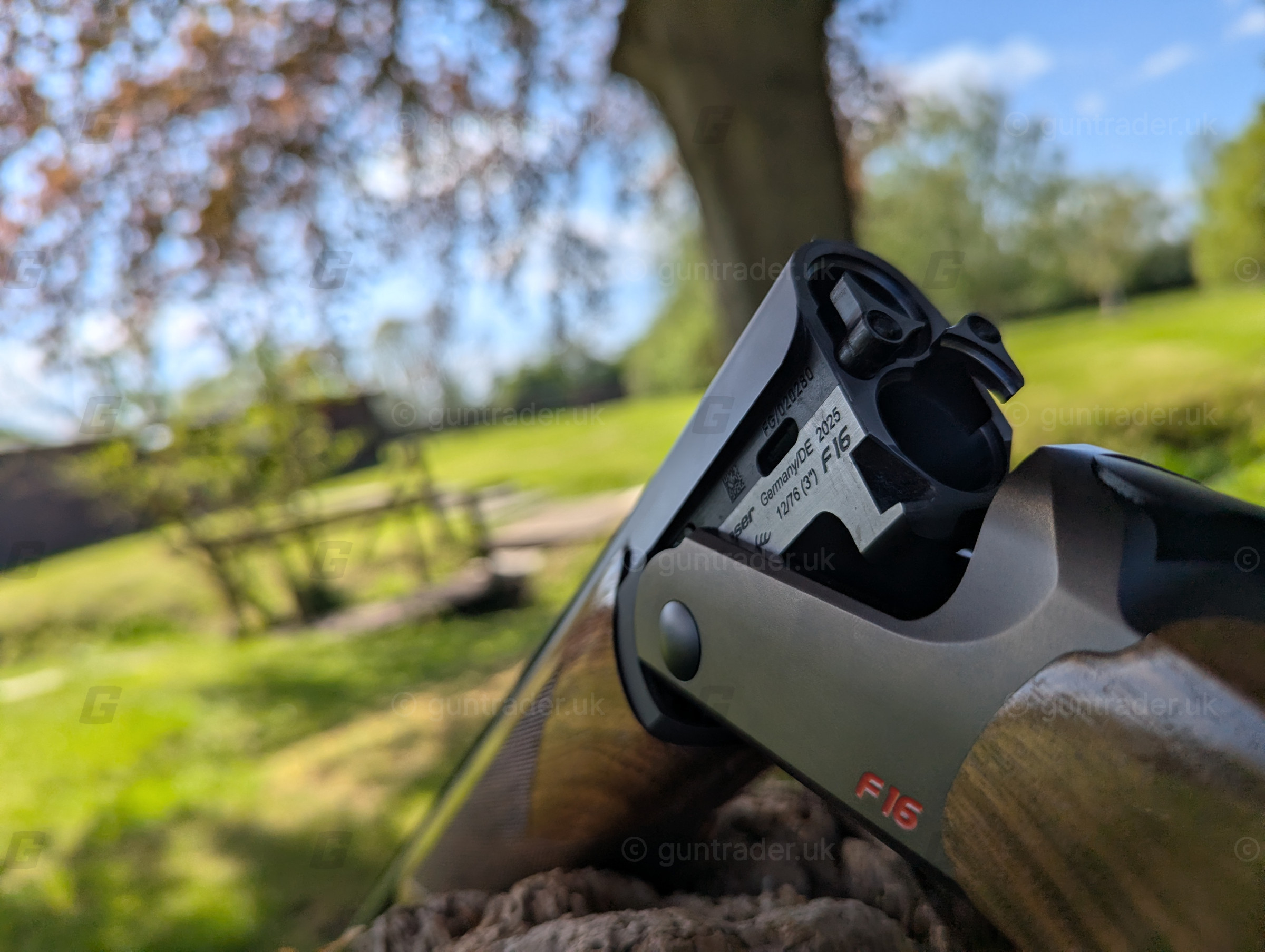 Photo of this gun