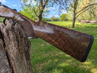 Gun Image 2