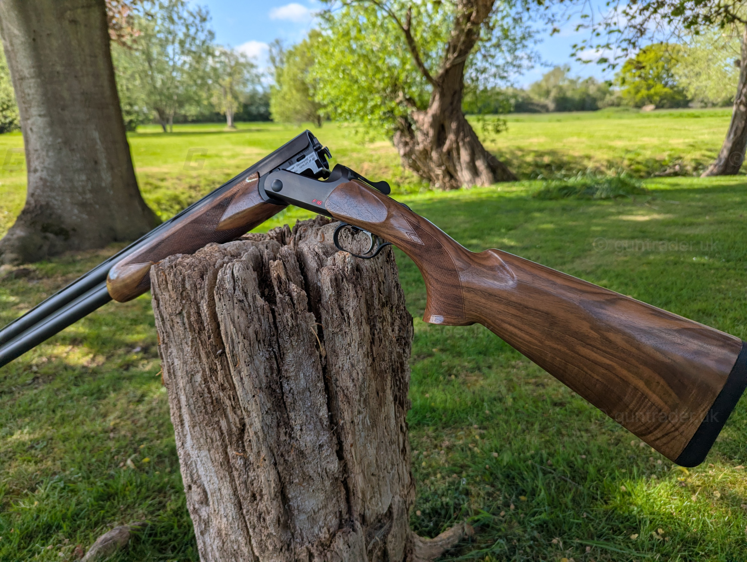 Photo of this gun