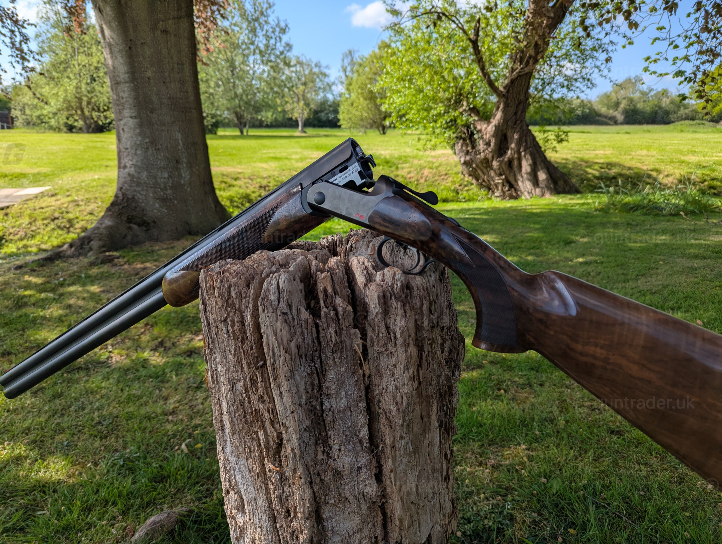 Photo of this gun