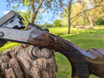 Gun Image 1