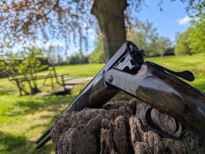 Gun Image 2