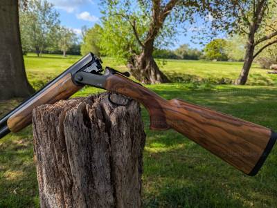 Gun Image 1
