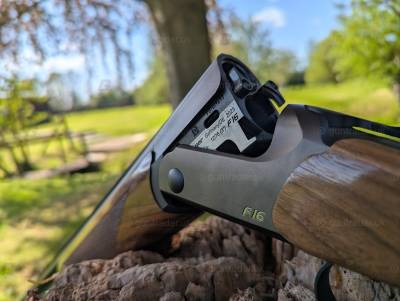 Gun Image 2
