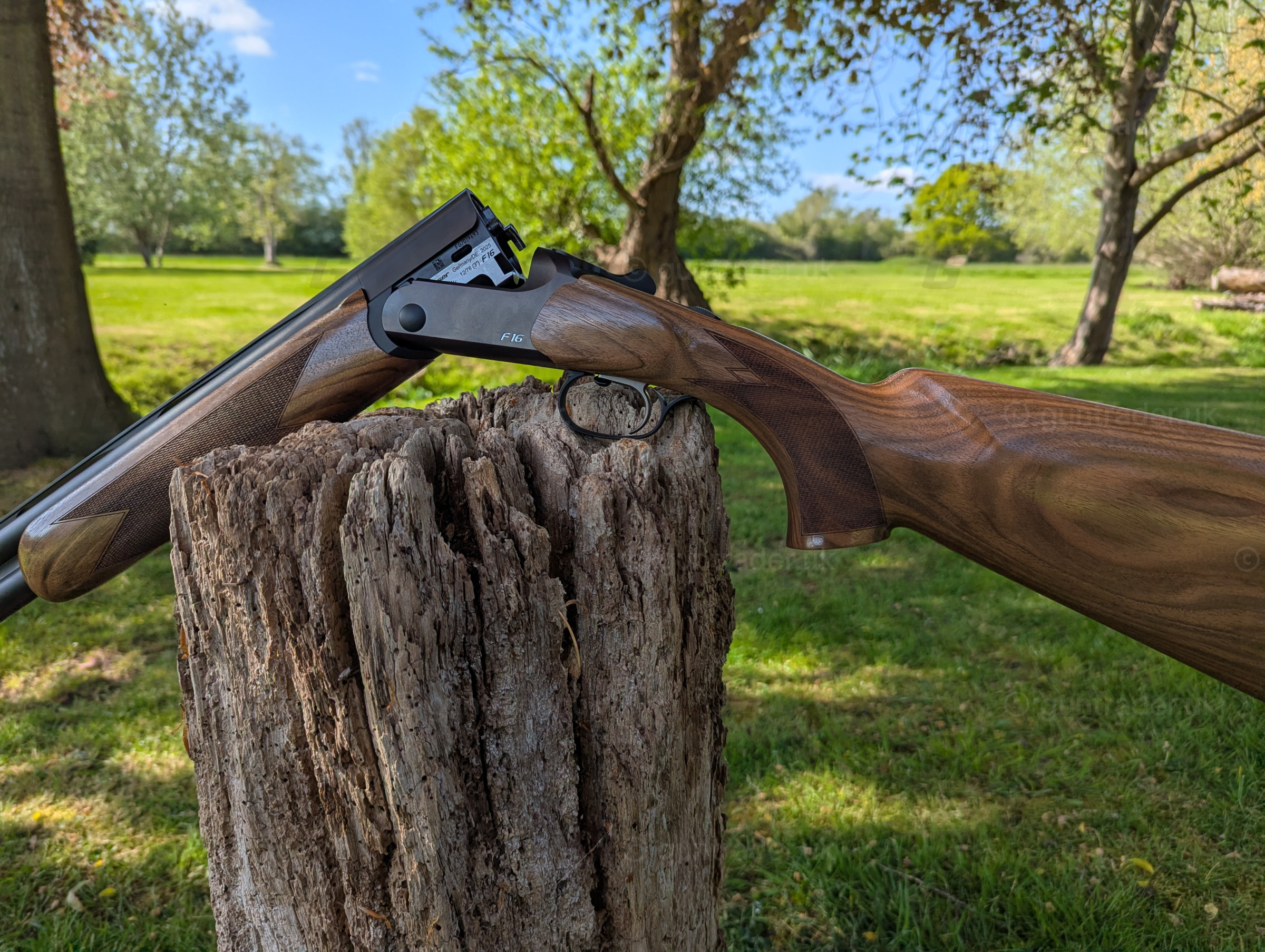 Photo of this gun