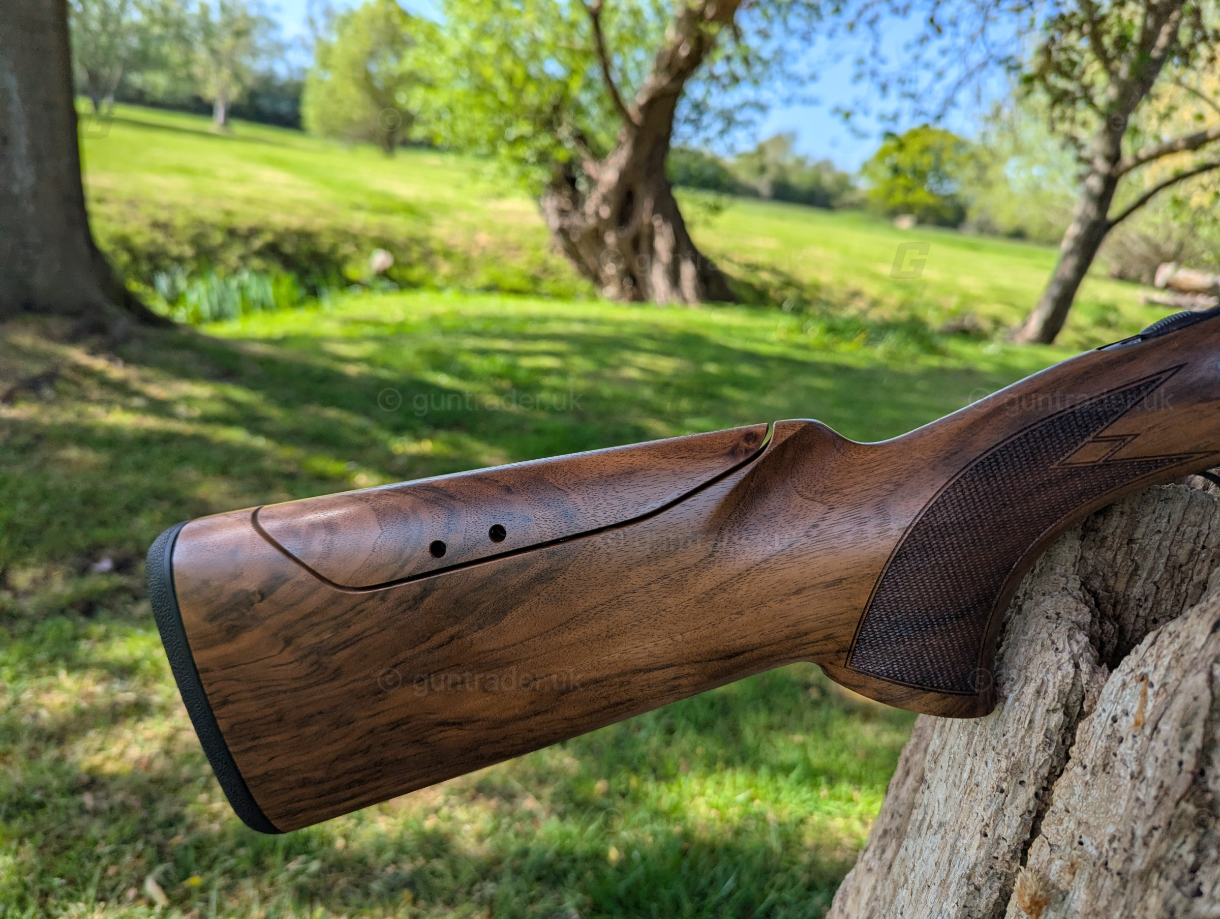 Photo of this gun